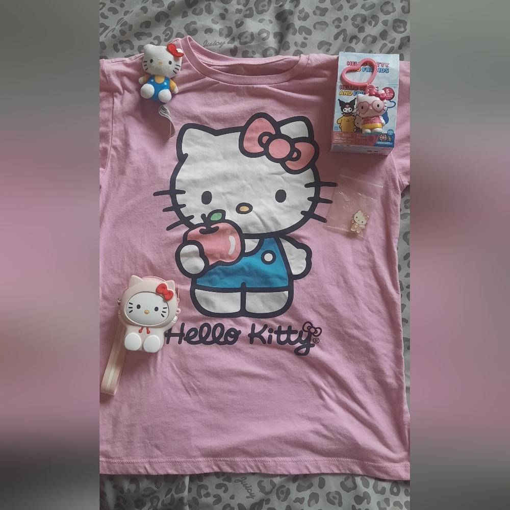 Hello Kitty Pink T-Shirt And Accesories Set